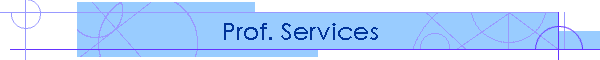 Prof. Services